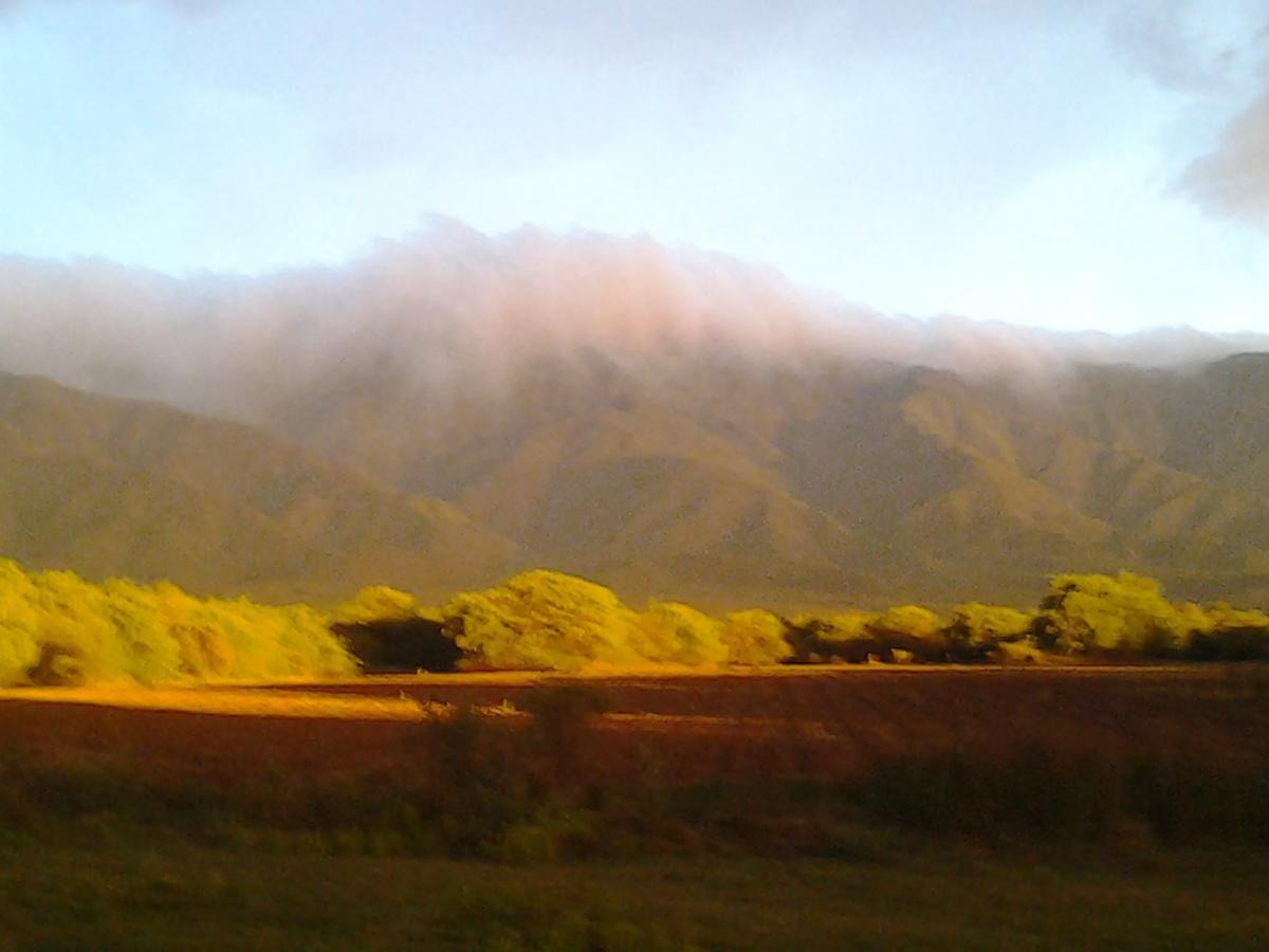 비야 라스 로사스 Complejo Valle De Las Rosas 빌라 외부 사진